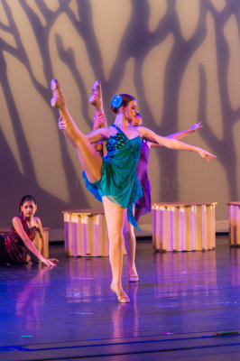 Danielle's Dance Recital 6-20-15 0110-0005.jpg