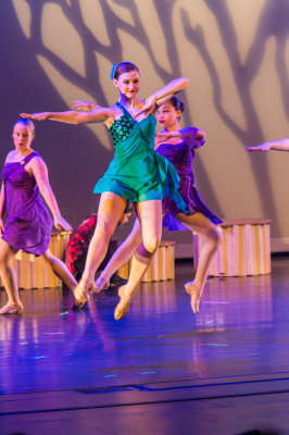Danielle's Dance Recital 6-20-15 0115-0006.jpg
