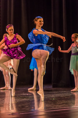 Danielle's Dance Recital 6-20-15 0735-0036.jpg