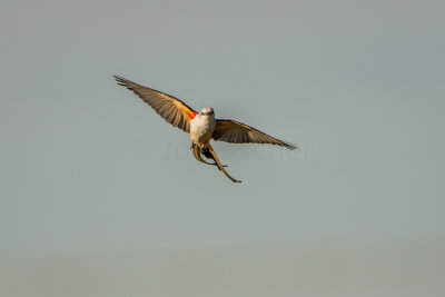 Attwater NWR 10-18-15 0304-0032.jpg