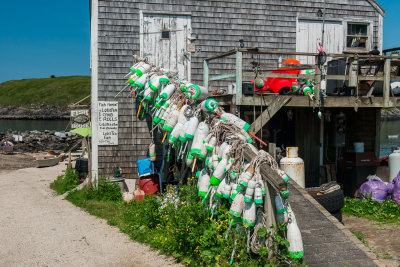 Monhegan Island ME 7-6-15 0571-0163.jpg