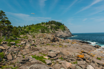 Monhegan Island ME 7-6-15 0581-0172.jpg