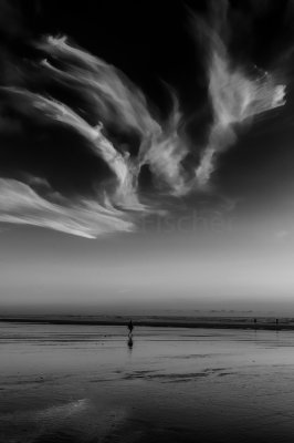 Cannon Beach 8-9-09 4298-Edit-0822.jpg