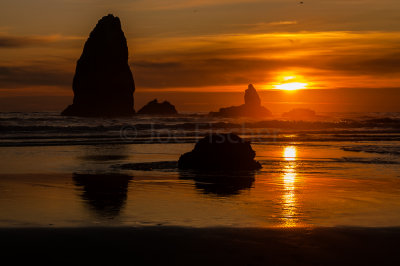 Cannon Beach 8-9-09 4305-0827.jpg