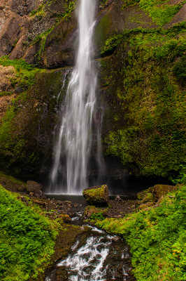 Columbia River Gorge 8-6-09 2459-0494.jpg