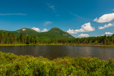 Baxter SP ME 7-11-15 1076-0340.jpg