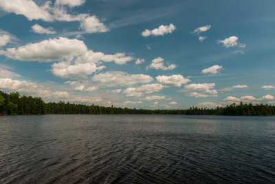 Baxter SP ME 7-11-15 1077-0341.jpg