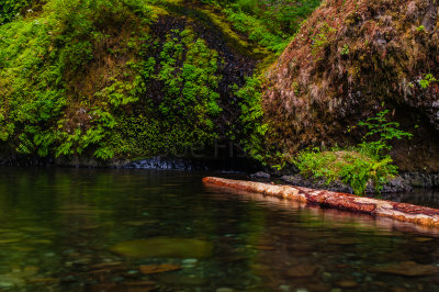 Columbia River Gorge 8-6-09 2495-0507.jpg