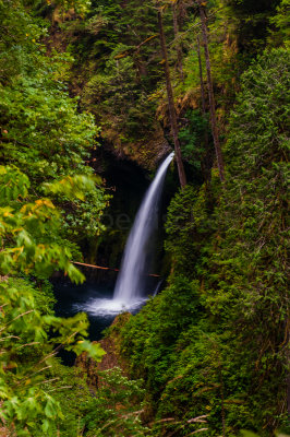 Columbia River Gorge 8-6-09 2517-0513.jpg
