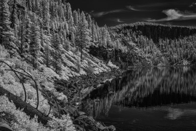 Crater Lake NP 8-1-09 1149-Edit-0197.jpg