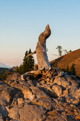 Crater Lake NP 8-3-09 1465-0290.jpg