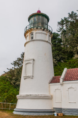 Heceta Head Lighthouse 8-7-09 2845-0566.jpg