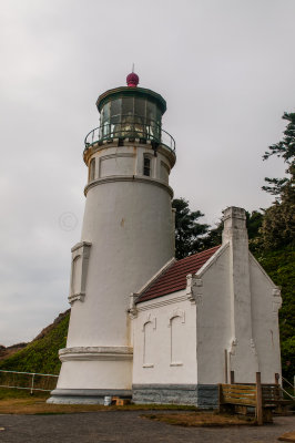 Heceta Head Lighthouse 8-7-09 2848-0568.jpg