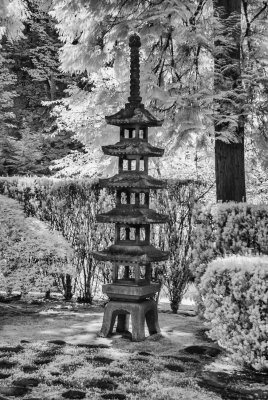 Japanese Garden 7-26-09 0029-Edit-0010.jpg