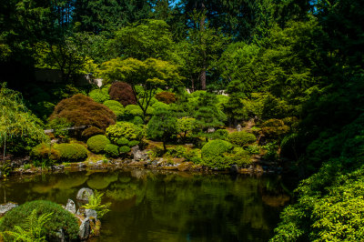 Japanese Garden 2009