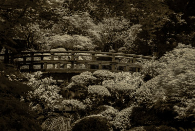 Japanese Garden 7-26-09 0042-Edit-0018.jpg
