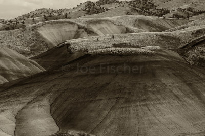 Painted Hills NM 8-4-09 2101-Edit-2-0382.jpg