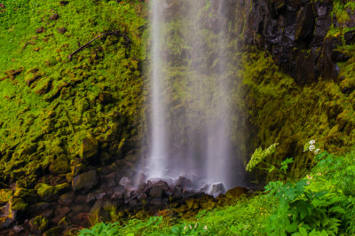 Umpqua River 8-2-09 1403-0277.jpg