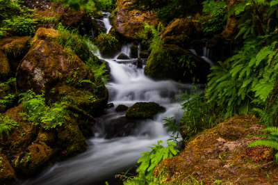 Umpqua River 8-2-09 1405-0278.jpg