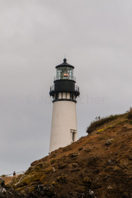 Yaquina Head SNA 8-9-09 3895-0757.jpg