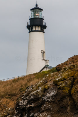 Yaquina Head SNA 8-9-09 3901-0760.jpg