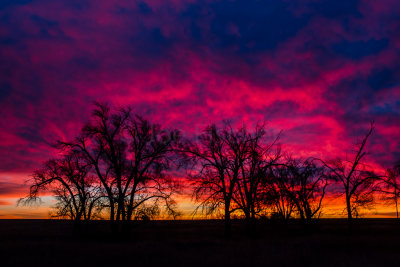 Thompson Grove 12-7-15 0589-0226.jpg