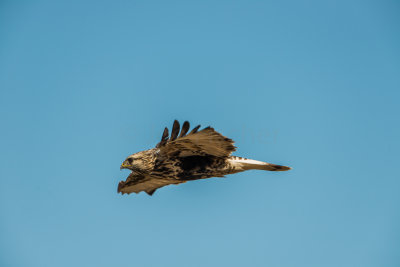 TX Panhandle 12-6-15 0463-0247.jpg