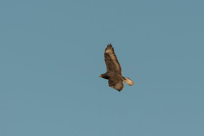 TX Panhandle 12-6-15 0484-0253.jpg