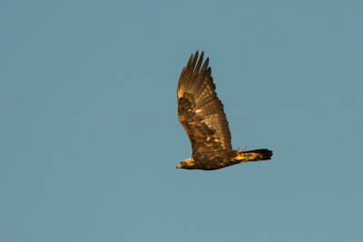 TX Panhandle 12-6-15 0502-0256.jpg