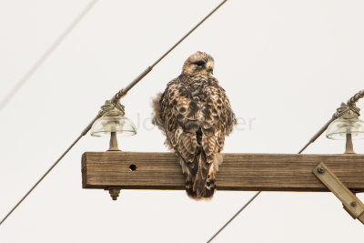 TX Panhandle 12-7-15 0613-0258.jpg