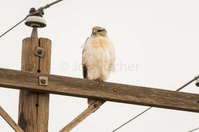 TX Panhandle 12-7-15 0732-0280.jpg
