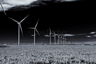 TX Panhandle 12-7-15 0833-Edit-Edit-0306.jpg