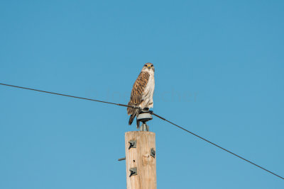 TX Panhandle 12-6-15 0421-0243.jpg