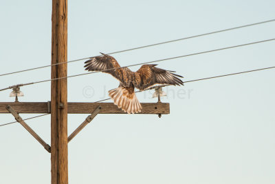 TX Panhandle 12-7-15 0625-0261.jpg