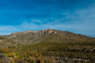 Guadalupe NP 12-11-15 1215-0105.jpg