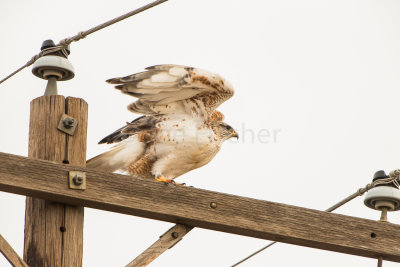 TX Panhandle 12-7-15 0739-0281.jpg