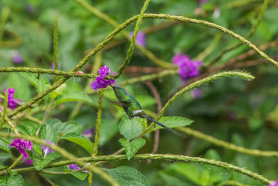 Rancho Naturalista CR 1-24-16 0025-0035.jpg