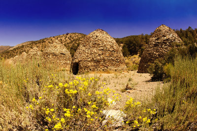 Charcoal Kilns.