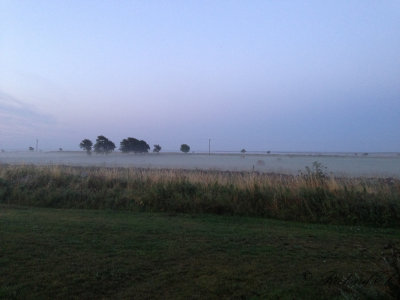 Foggy morning - Faludden