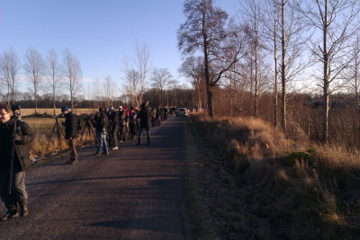 Dusky Thrush - twitchers