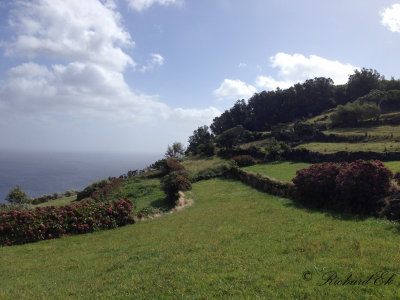 Hills north of Pico.