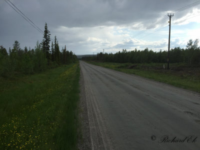 Road to Lainio - landscape