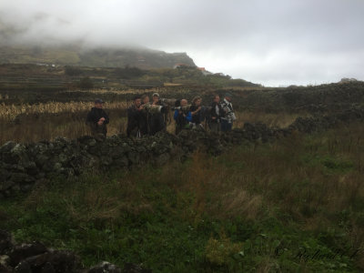 Blue-winged Warbler twitchers