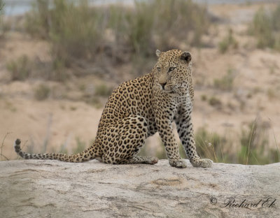 Bird and Mammals trip to South Africa 2016