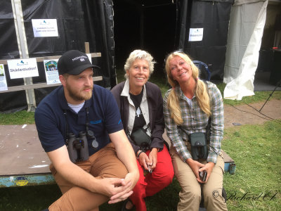 Falsterbo Bird show - mingel