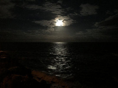 Corvo by night
