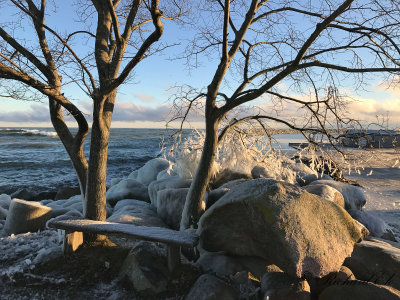 Winter landscape