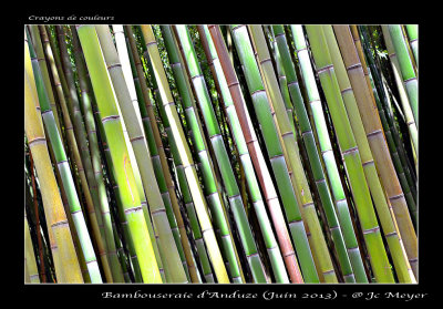 Bambou concept (Anduze)