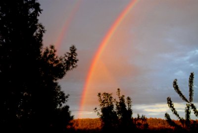 Rainbow from back yard.jpg