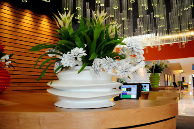 70-DSC_7106.jpg